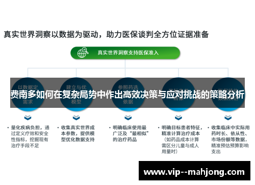 费南多如何在复杂局势中作出高效决策与应对挑战的策略分析